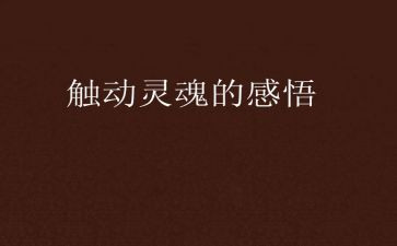 人类灵魂的工程师作文5篇