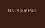人类灵魂的工程师作文5篇