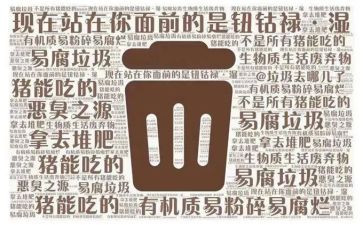 扫垃圾心得体会优秀8篇