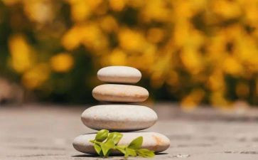 领悟类的作文通用5篇