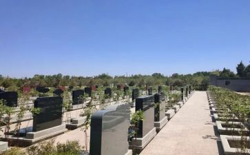 清明节烈士陵园活动总结8篇