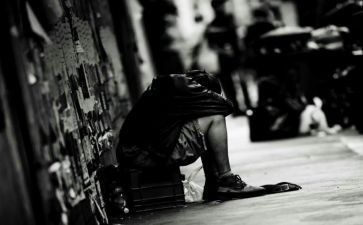 变流浪狗作文优秀8篇