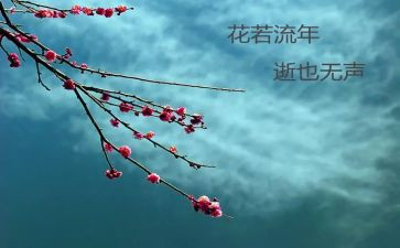 2024年物流年终总结参考8篇
