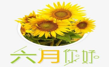 六月的工作总结5篇