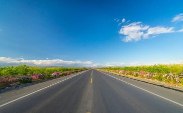我的教师成长之路演讲稿6篇