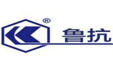 鲁抗工作心得体会7篇