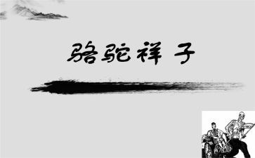 骆驼祥子卖骆驼读后感优秀7篇