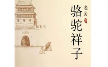 字骆驼祥子读后感精选7篇