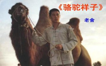 骆驼祥子卖骆驼读后感最新6篇