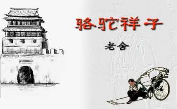 骆驼祥子第三章读后感6篇