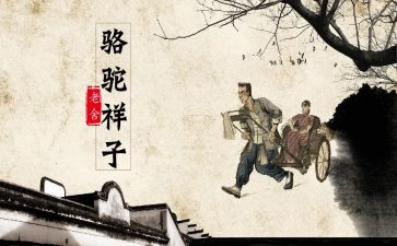 骆驼祥子卖骆驼读后感优质8篇