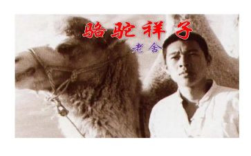 读骆驼祥子心得体会精选5篇