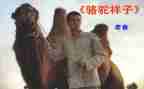 骆驼祥子读后感800字范文8篇