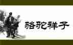 读骆驼祥子心得体会优秀6篇