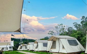 露营记作文精选8篇