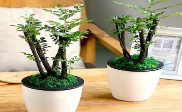 绿色发展心得体会5篇
