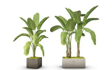 绿化工个人述职报告5篇