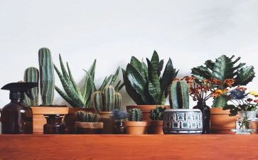 朱自清的绿读后感最新6篇