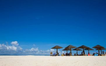 公司旅游活动方案5篇