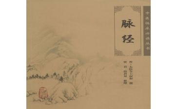 脉经心得体会1000字6篇