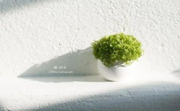 慢慢来的作文6篇
