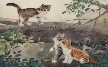 小猫窝作文最新8篇