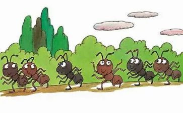 幼儿蚂蚁科学教案7篇