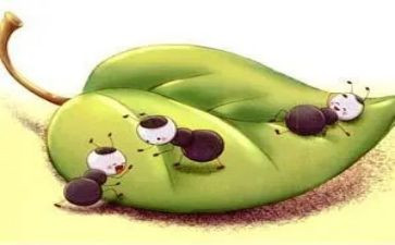 蚂蚁王国作文推荐5篇