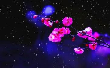 写梅花魂的读后感6篇