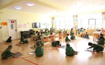 蒙氏老师对幼儿的月总结最新5篇