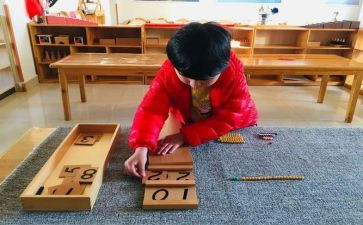 蒙氏老师的年终工作总结优质5篇