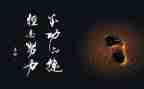 最崇敬的名人作文7篇