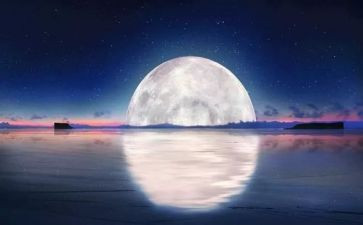 去明月山作文6篇