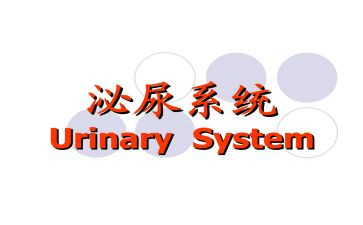 2024年泌尿外科工作总结5篇