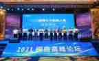 闽商心得体会800字推荐7篇