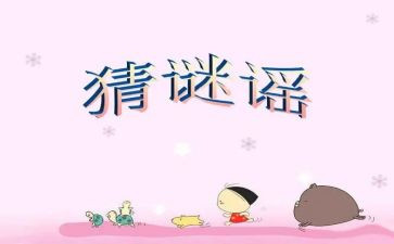 猜谜语活动方案8篇