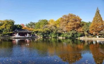 南京中考作文7篇