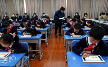 3年级语文教学总结模板7篇