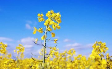 同学你好直播观后感6篇