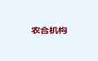 农合联先进事迹精选5篇