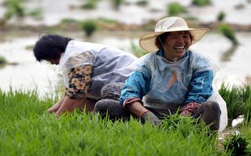 农民房合同6篇
