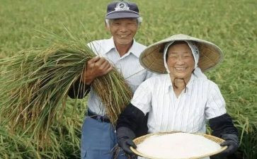 农民作文600字7篇