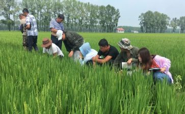 助理农艺师工作总结范文6篇