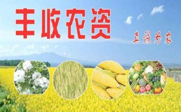 涉农资金自查报告推荐6篇