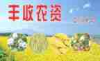 涉农资金自查报告推荐6篇