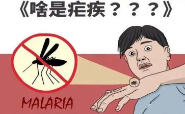 全国疟疾日宣传总结8篇