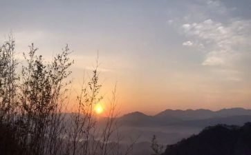 盼地球作文模板7篇
