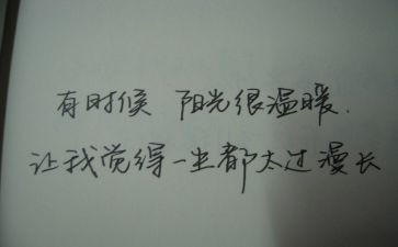 树漂亮教案8篇