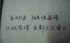 树漂亮教案8篇