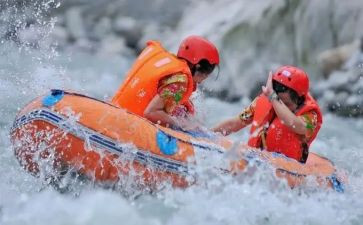 鲁漂流记读后感800读后感优秀6篇